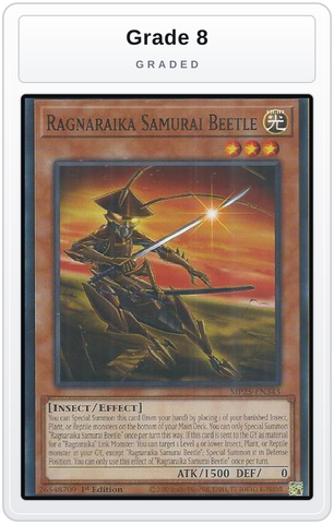 Graded - Ragnaraika Samurai Beetle — Grade 8 graded overlay