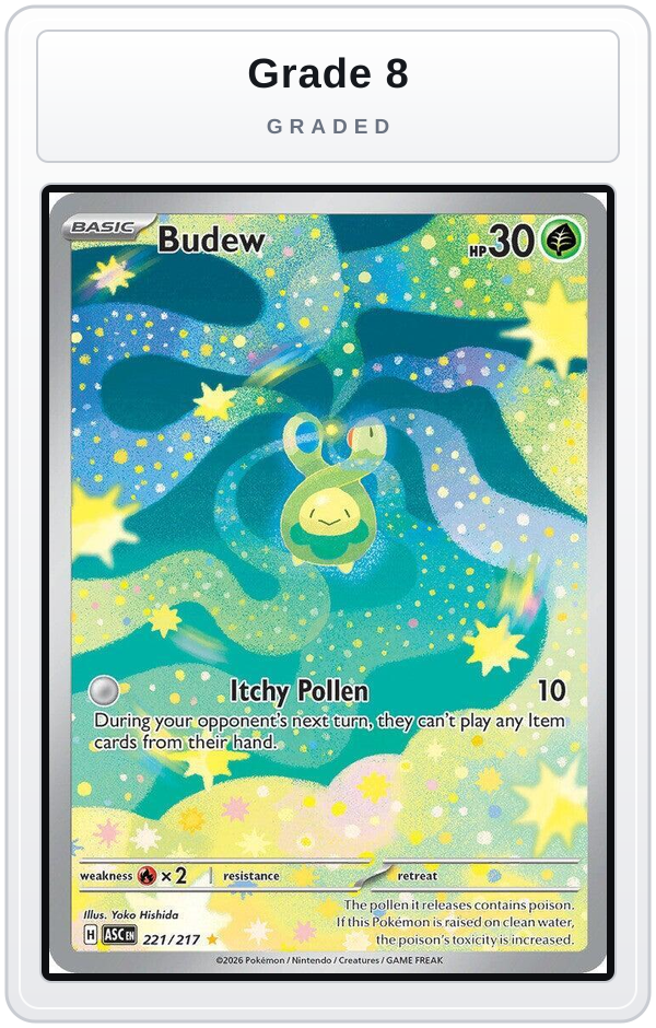 Graded - Budew - 221/217 — Grade 8 graded overlay