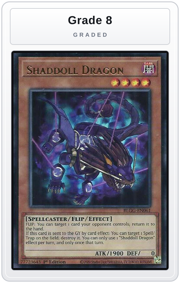 Graded - Shaddoll Dragon — Grade 8 graded overlay