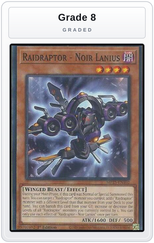 Graded - Raidraptor - Noir Lanius — Grade 8 graded overlay