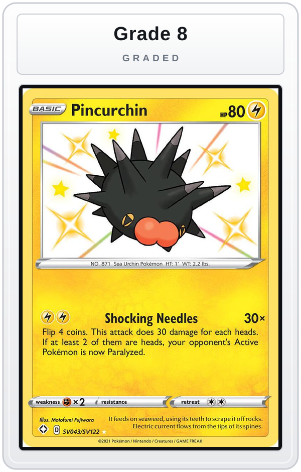 Graded - Pincurchin — Grade 8 graded overlay