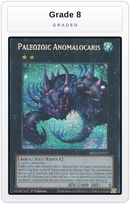 Graded - Paleozoic Anomalocaris — Grade 8 graded overlay