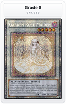 Graded - Garden Rose Maiden — Grade 8 graded overlay