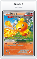 Graded - Torchic - 018/070 — Grade 8 graded overlay