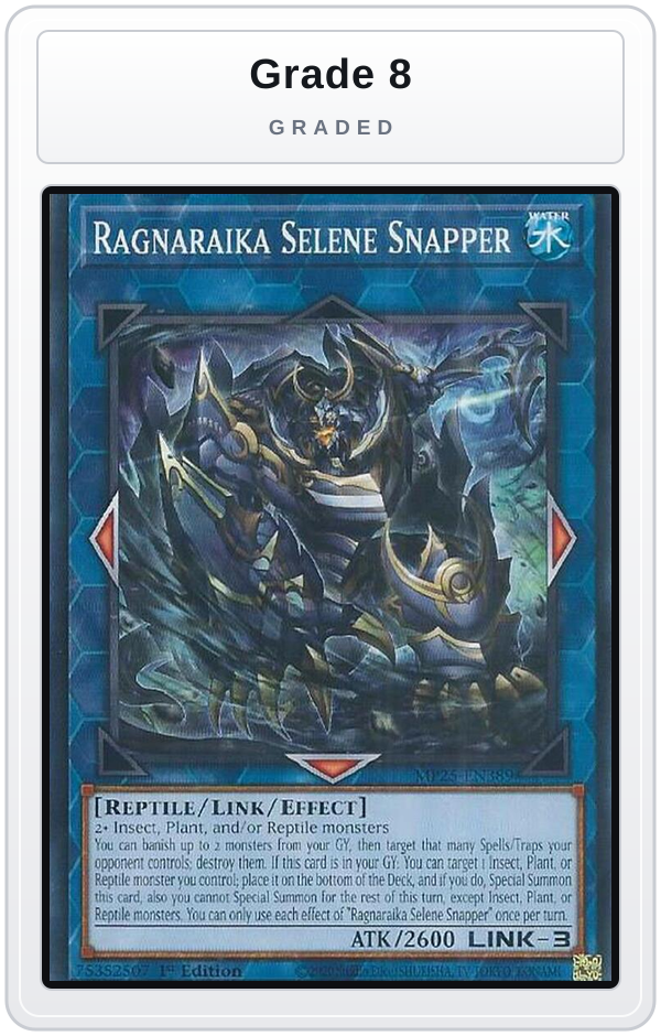 Graded - Ragnaraika Selene Snapper — Grade 8 graded overlay