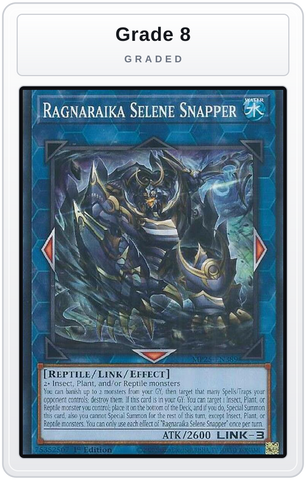 Graded - Ragnaraika Selene Snapper — Grade 8 graded overlay