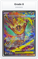Graded - Mega Hawlucha ex - 239/193 — Grade 8 graded overlay
