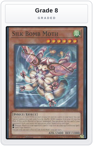 Graded - Silk Bomb Moth — Grade 8 graded overlay