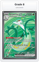 Graded - Serperior ex - 156/086 — Grade 8 graded overlay