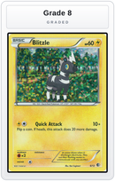 Graded - Blitzle - 6/12 — Grade 8 graded overlay