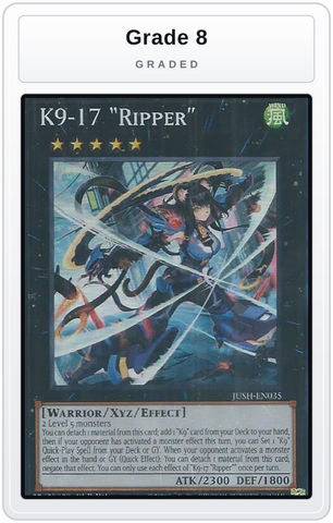 Graded - K9-17 "Ripper" — Grade 8 graded overlay