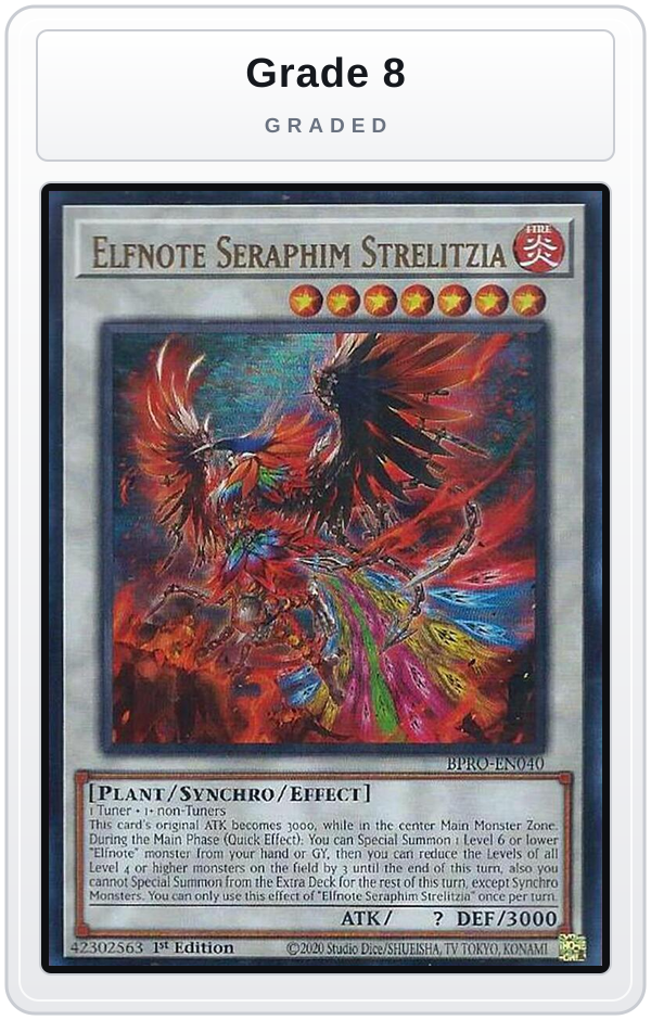 Graded - Elfnote Seraphim Strelitzia — Grade 8 graded overlay