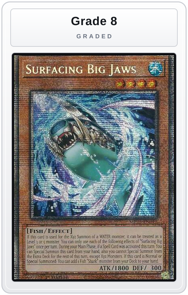 Graded - Surfacing Big Jaws — Grade 8 graded overlay