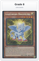 Graded - Lightsworn Dragonling — Grade 8 graded overlay