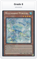 Graded - Mulcharmy Purulia — Grade 8 graded overlay