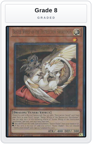 Graded - Buster Whelp of the Destruction Swordsman — Grade 8 graded overlay
