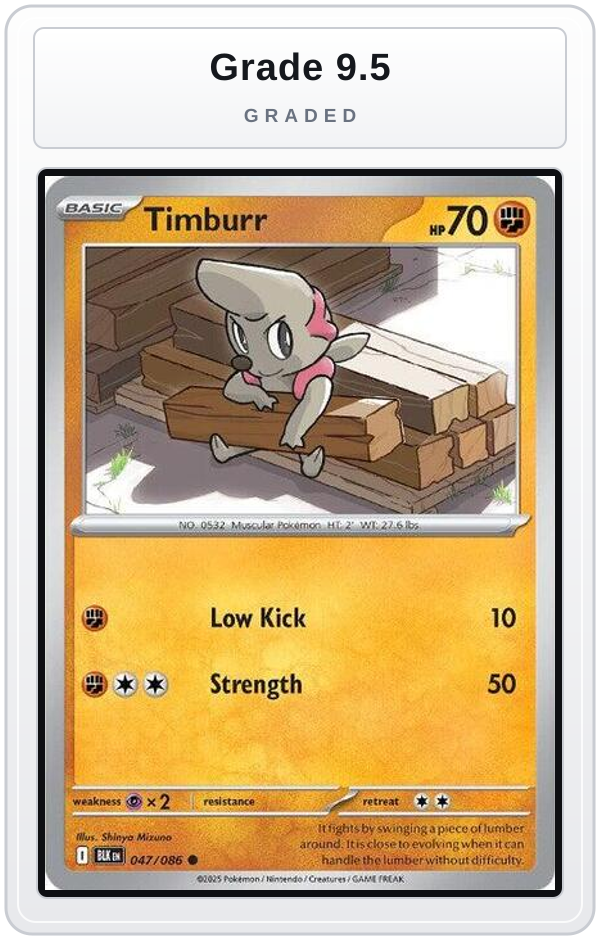 Graded - Timburr — Grade 9.5 graded overlay