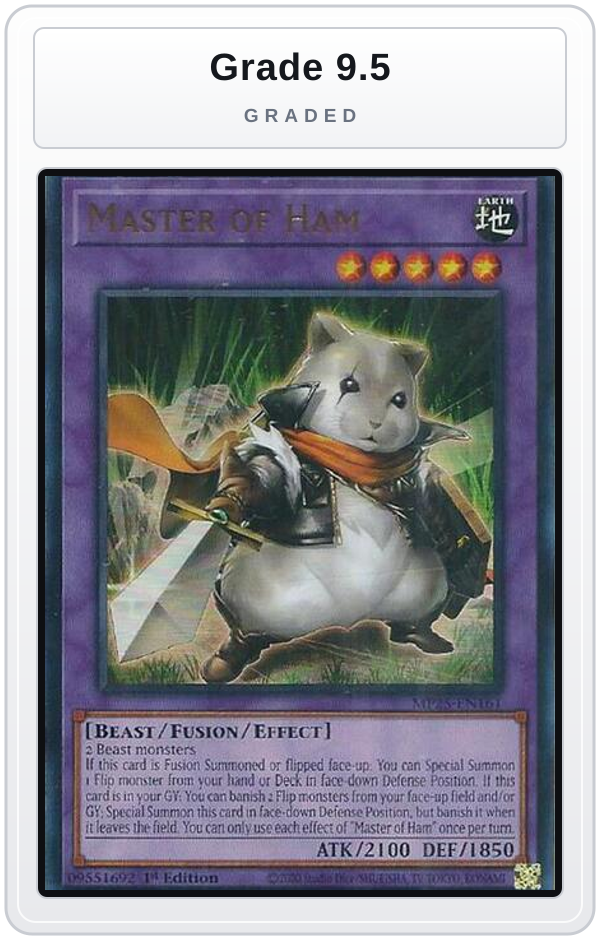 Graded - Master of Ham — Grade 9.5 graded overlay