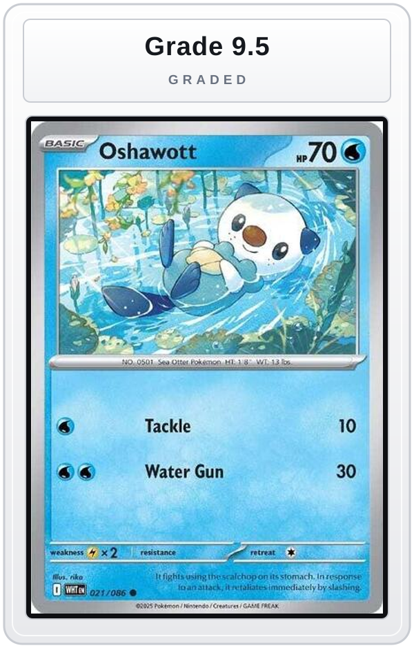 Graded - Oshawott — Grade 9.5 graded overlay