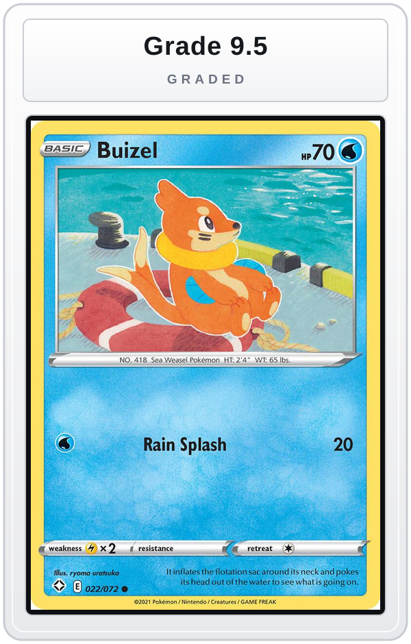 Graded - Buizel — Grade 9.5 graded overlay