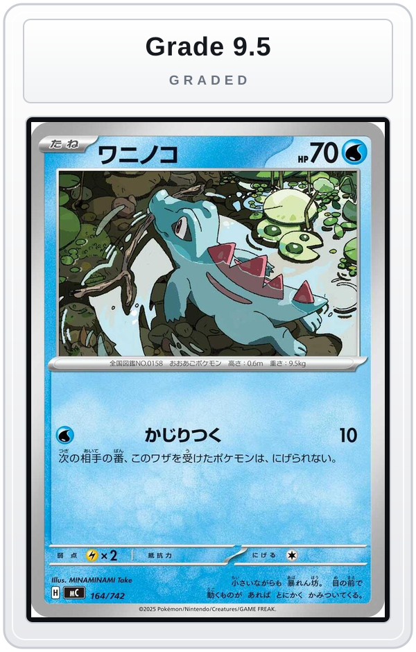 Graded - Totodile - 164/742 — Grade 9.5 graded overlay