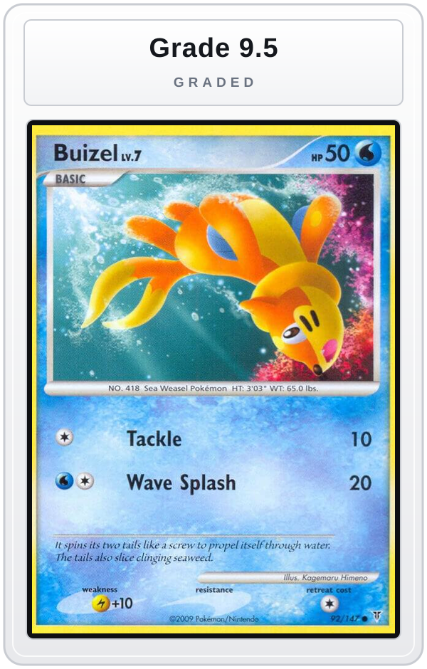 Graded - Buizel — Grade 9.5 graded overlay