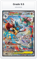 Graded - Mega Lucario ex - 088/063 — Grade 9.5 graded overlay