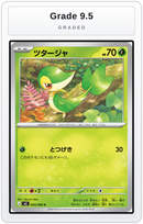 Graded - Snivy — Grade 9.5 graded overlay