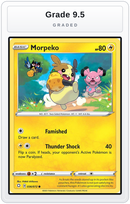 Graded - Morpeko (036) — Grade 9.5 graded overlay