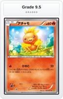Graded - Torchic - 017/070 — Grade 9.5 graded overlay
