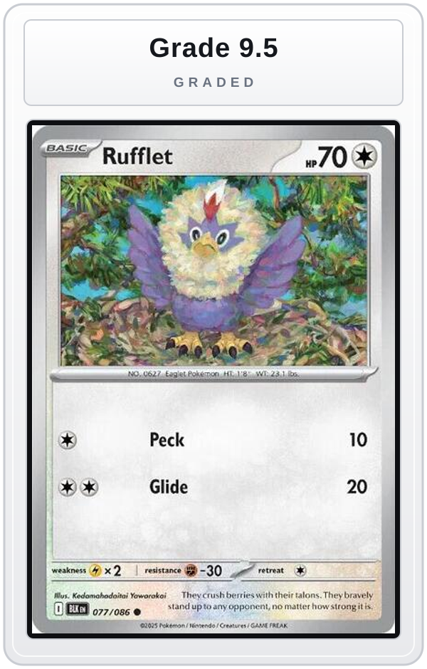 Graded - Rufflet — Grade 9.5 graded overlay