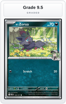 Graded - N's Zorua — Grade 9.5 graded overlay