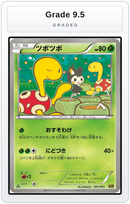 Graded - Shuckle — Grade 9.5 graded overlay