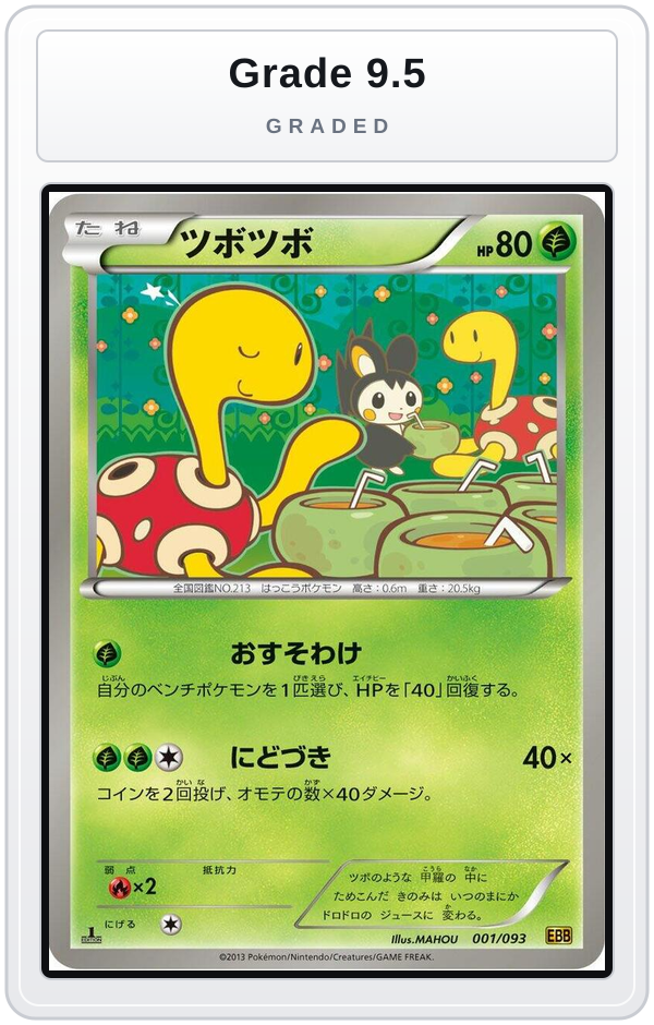 Graded - Shuckle — Grade 9.5 graded overlay