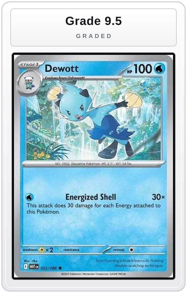 Graded - Dewott — Grade 9.5 graded overlay