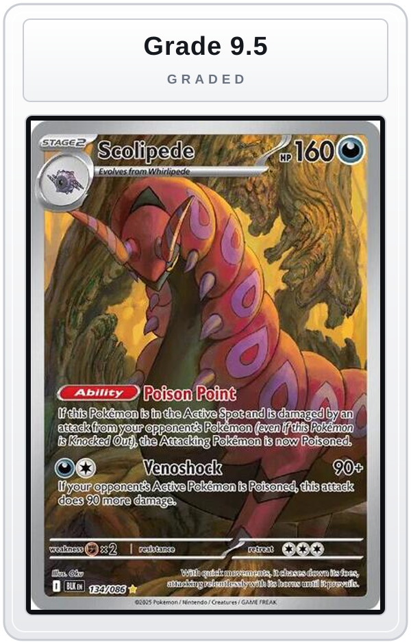 Graded - Scolipede - 134/086 — Grade 9.5 graded overlay