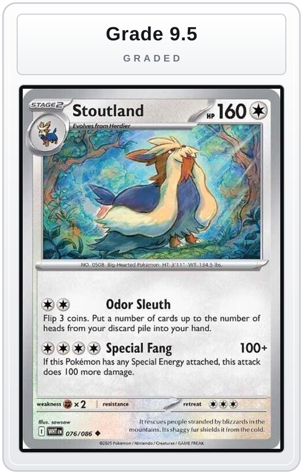 Graded - Stoutland — Grade 9.5 graded overlay