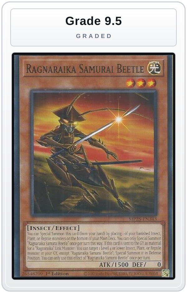 Graded - Ragnaraika Samurai Beetle — Grade 9.5 graded overlay