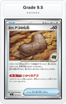 Graded - Antique Jaw Fossil — Grade 9.5 graded overlay