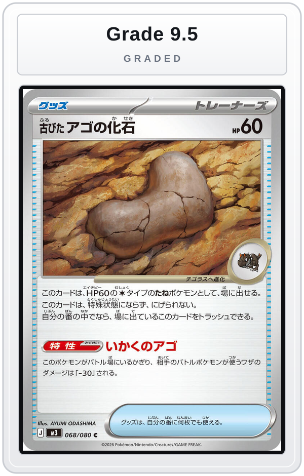 Graded - Antique Jaw Fossil — Grade 9.5 graded overlay
