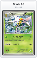 Graded - Beedrill — Grade 9.5 graded overlay