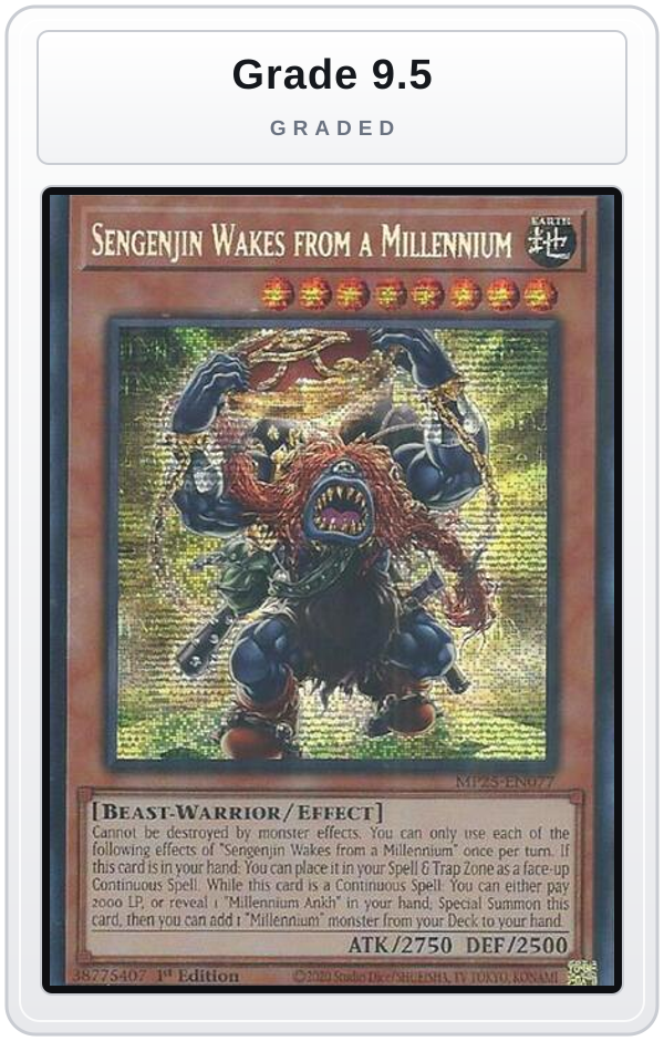 Graded - Sengenjin Wakes from a Millennium — Grade 9.5 graded overlay
