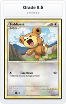 Graded - Teddiursa — Grade 9.5 graded overlay