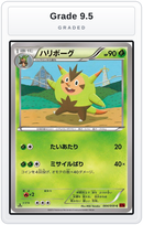 Graded - Quilladin — Grade 9.5 graded overlay