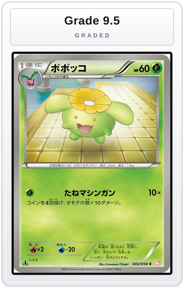 Graded - Skiploom — Grade 9.5 graded overlay