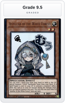 Graded - Astellar of the White Forest — Grade 9.5 graded overlay