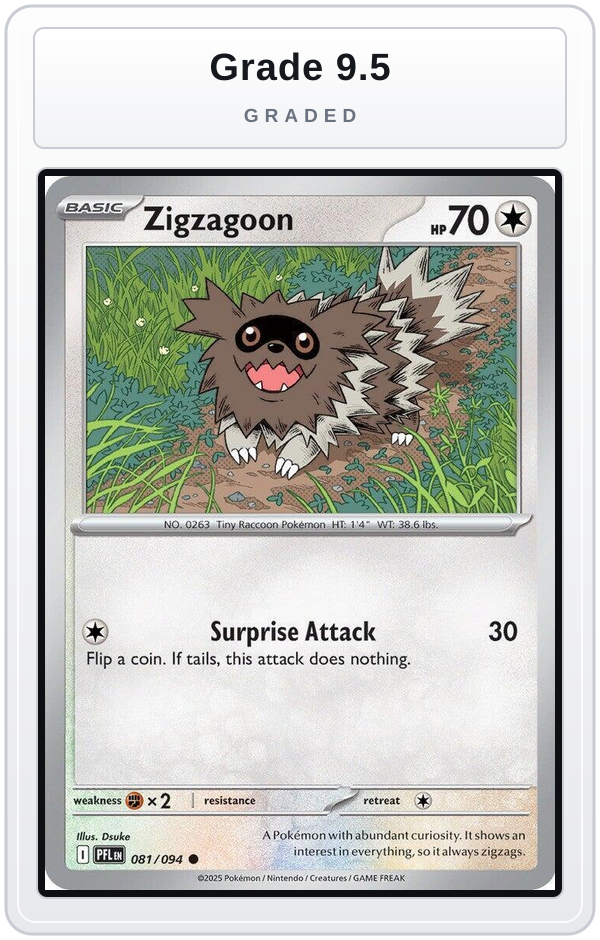 Graded - Zigzagoon — Grade 9.5 graded overlay