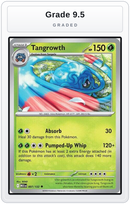 Graded - Tangrowth — Grade 9.5 graded overlay