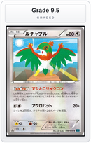 Graded - Hawlucha — Grade 9.5 graded overlay