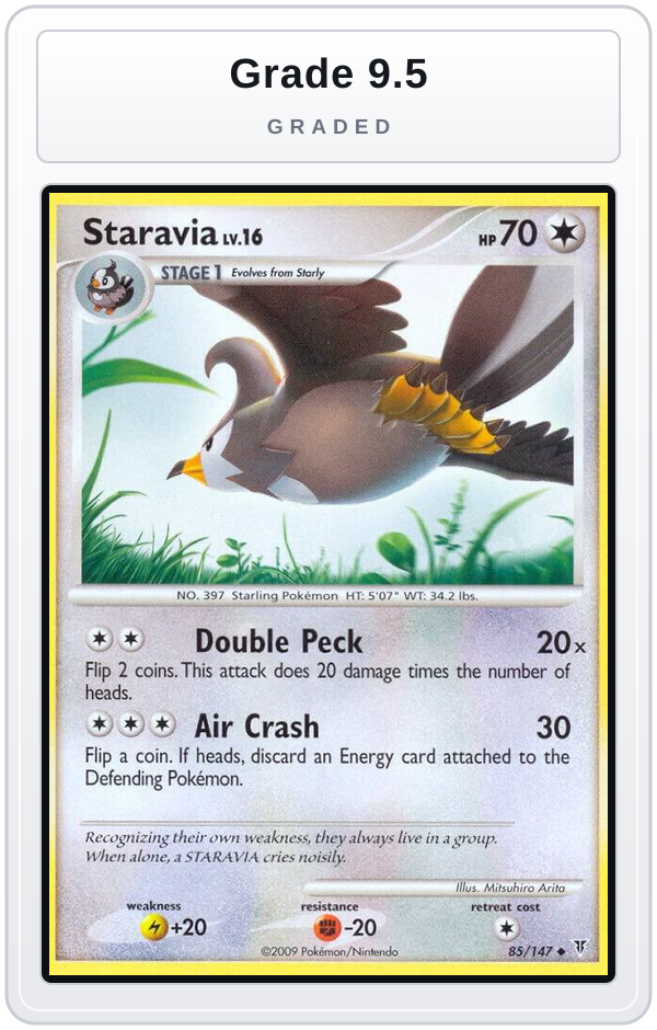 Graded - Staravia — Grade 9.5 graded overlay